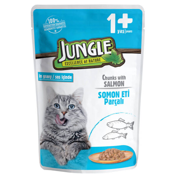 Pro plan best sale housecat 10 kg
